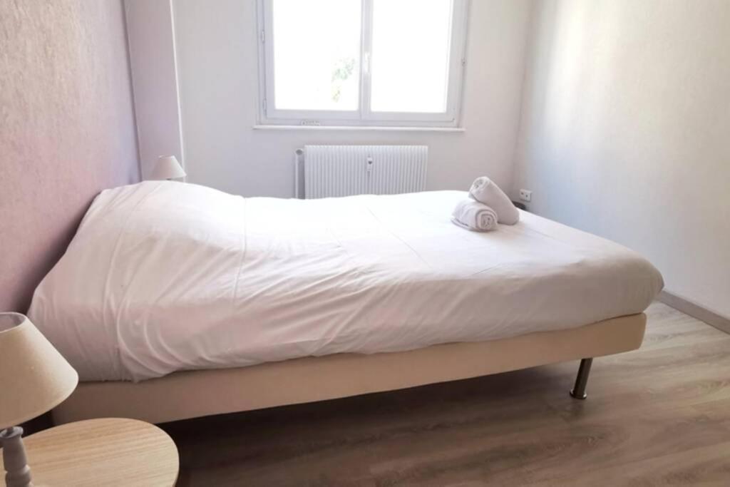 Appartement F2 Cosy Proche Centre שטרסבורג מראה חיצוני תמונה